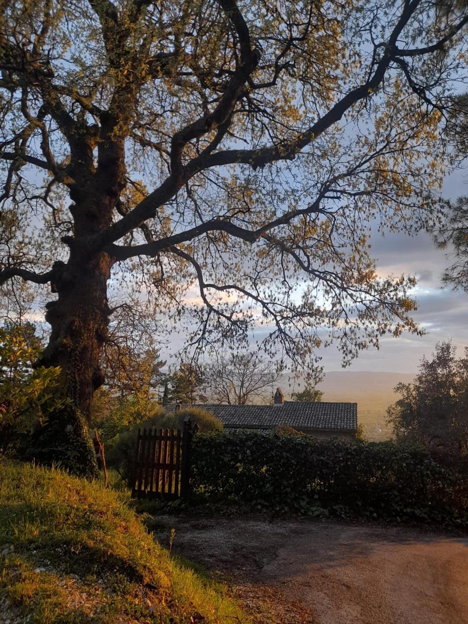 B&B Il Sentiero di Assisi Esterno foto