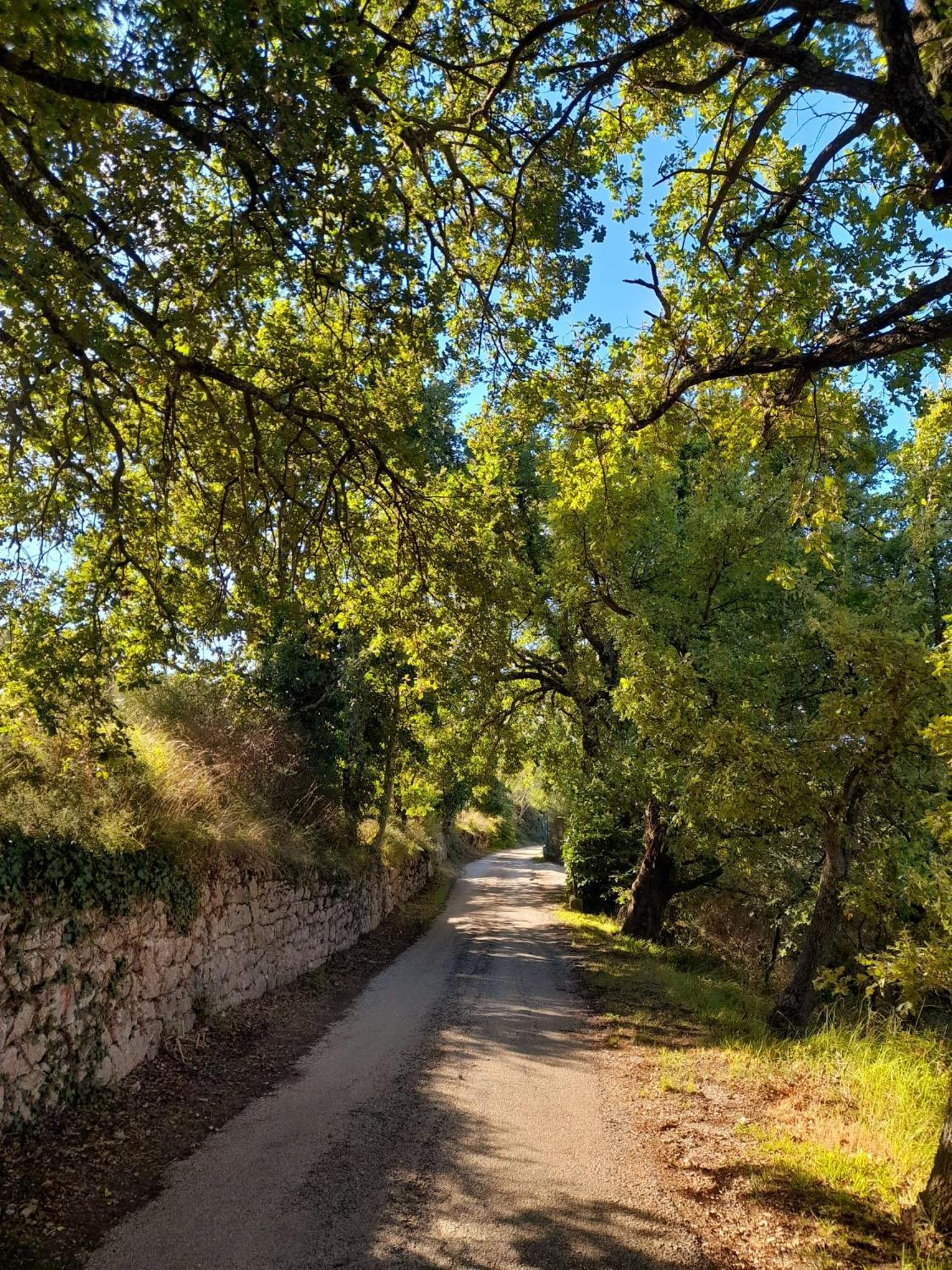 B&B Il Sentiero di Assisi Esterno foto