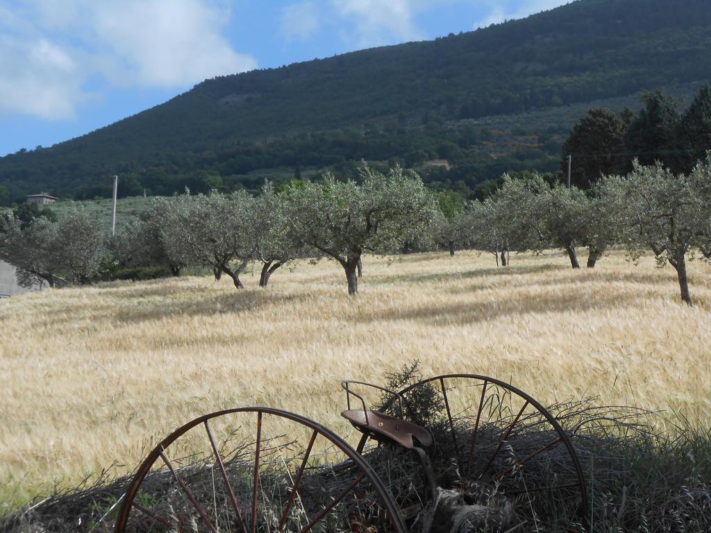 B&B Il Sentiero di Assisi Esterno foto