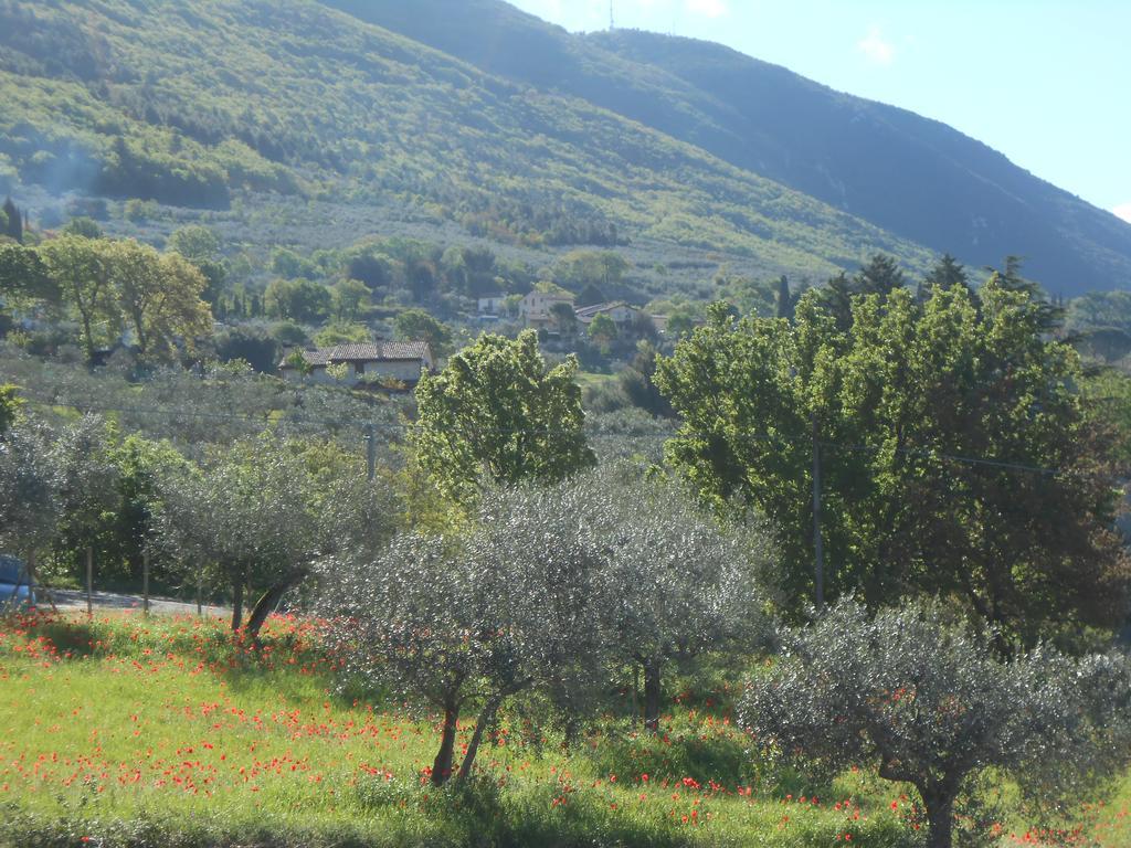 B&B Il Sentiero di Assisi Esterno foto