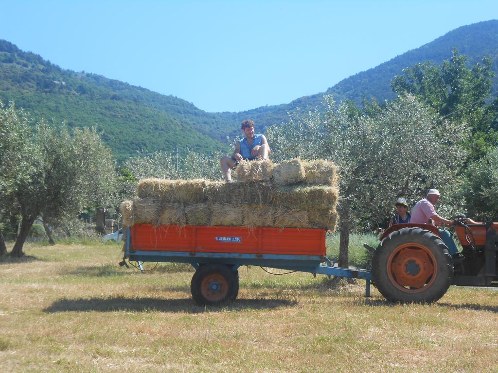 B&B Il Sentiero di Assisi Esterno foto