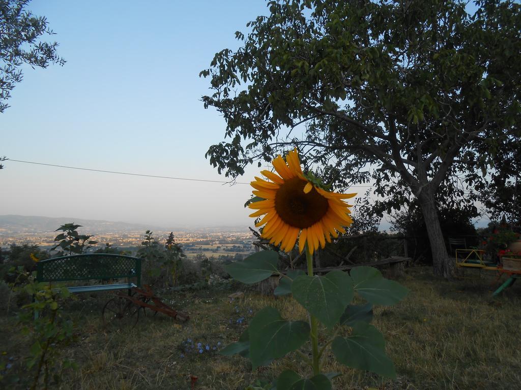 B&B Il Sentiero di Assisi Esterno foto