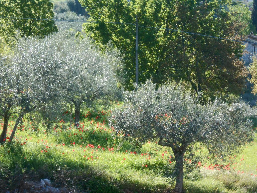 B&B Il Sentiero di Assisi Esterno foto