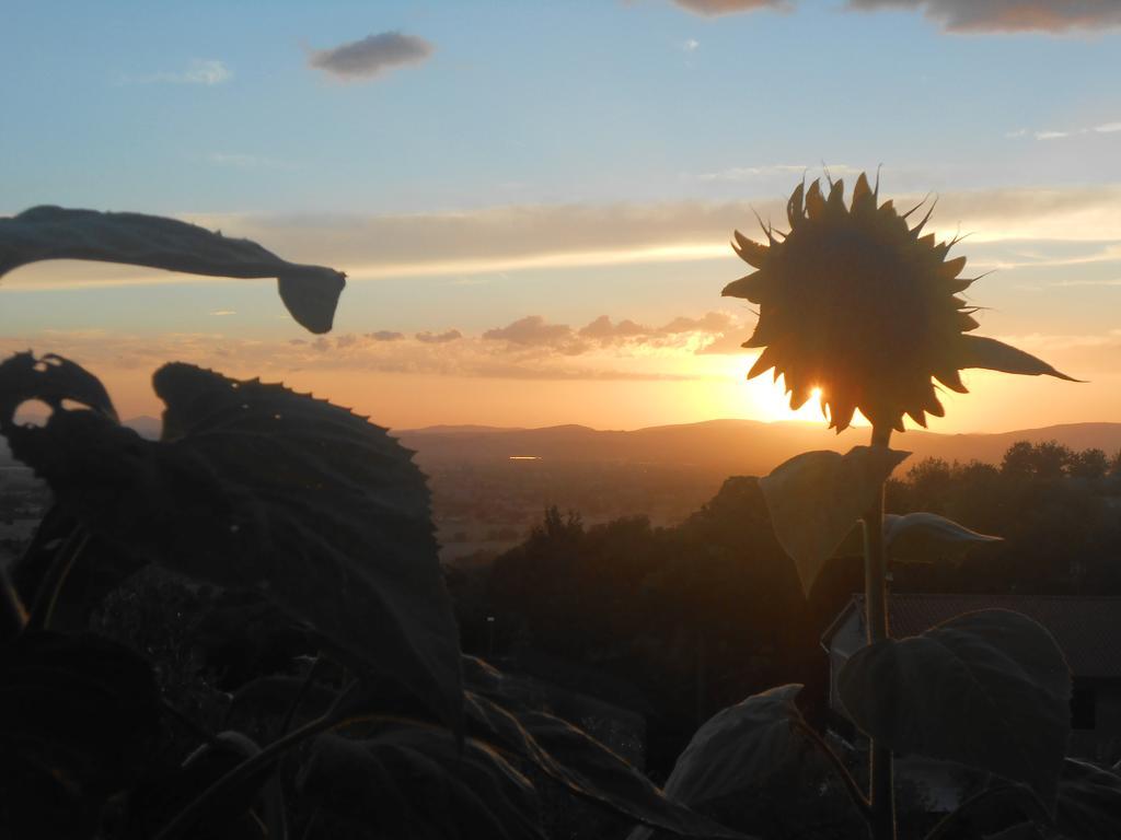 B&B Il Sentiero di Assisi Esterno foto