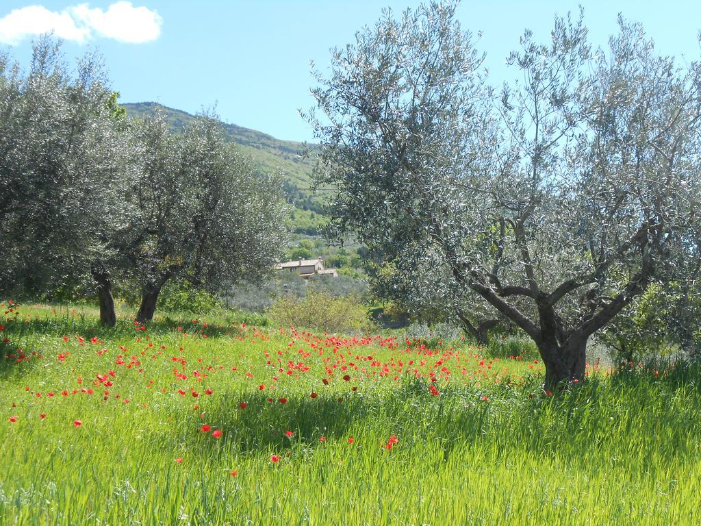 B&B Il Sentiero di Assisi Esterno foto