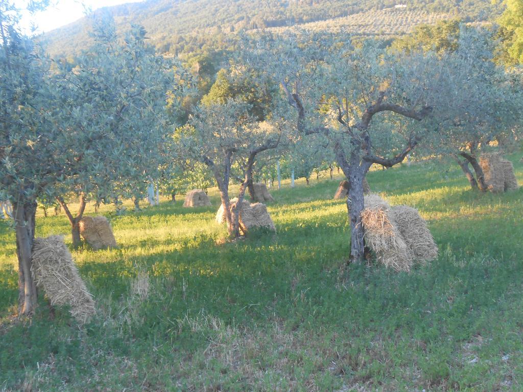 B&B Il Sentiero di Assisi Esterno foto