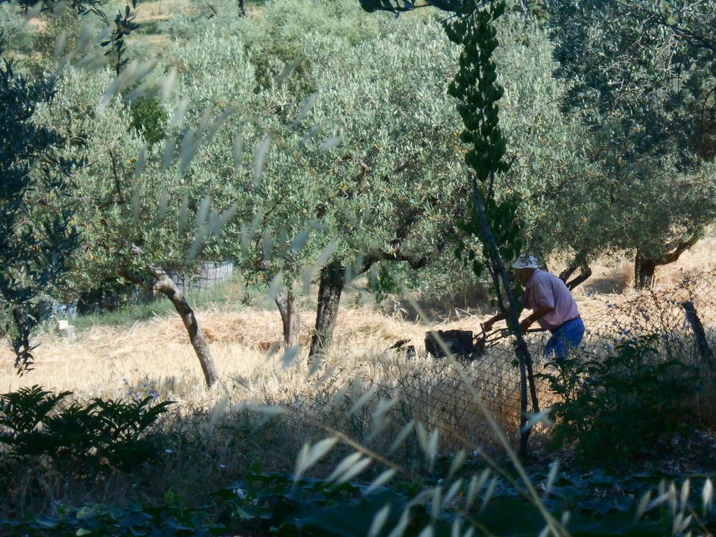 B&B Il Sentiero di Assisi Esterno foto