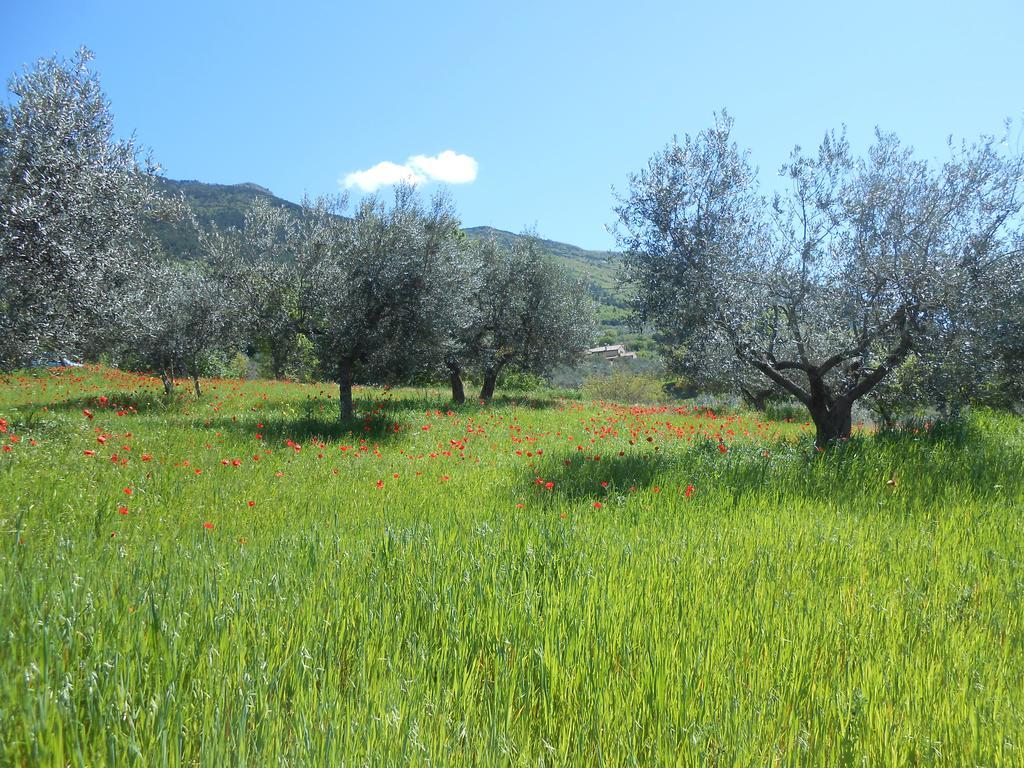 B&B Il Sentiero di Assisi Esterno foto