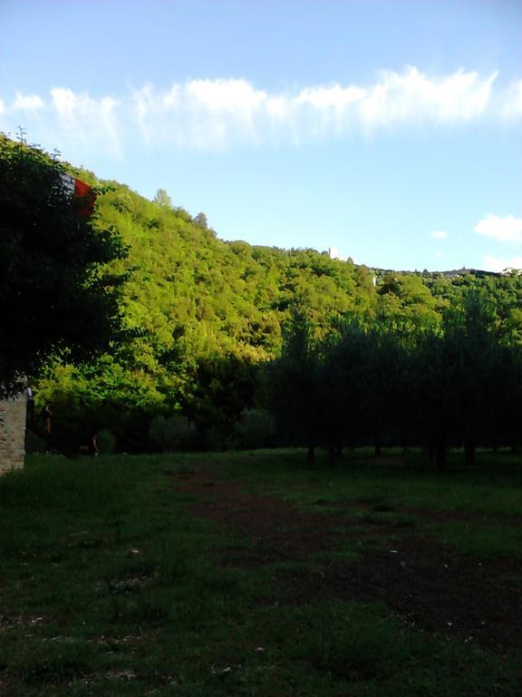 B&B Il Sentiero di Assisi Esterno foto