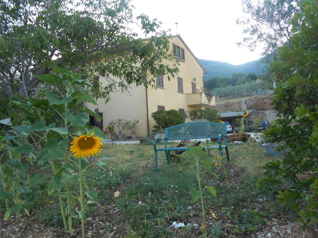 B&B Il Sentiero di Assisi Esterno foto