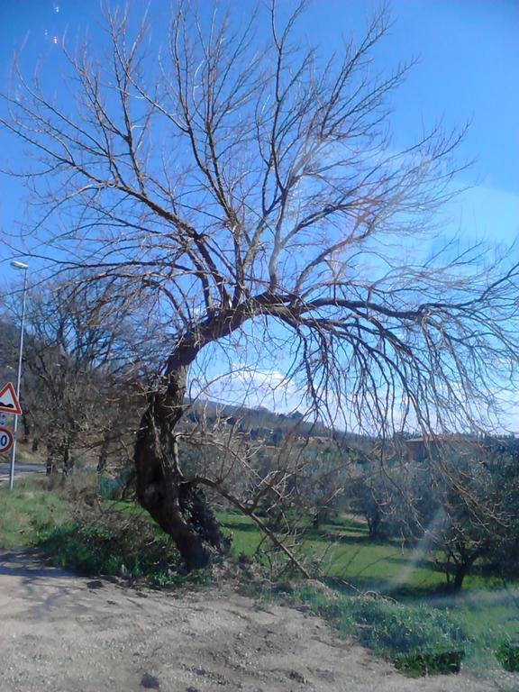 B&B Il Sentiero di Assisi Esterno foto