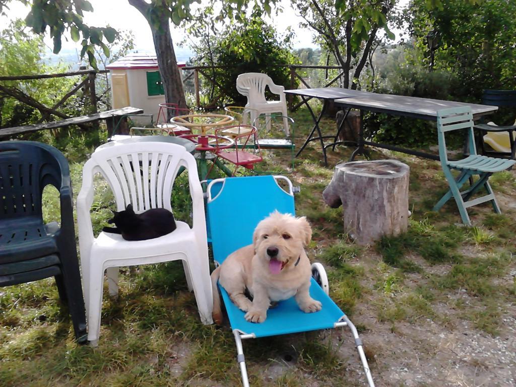 B&B Il Sentiero di Assisi Esterno foto